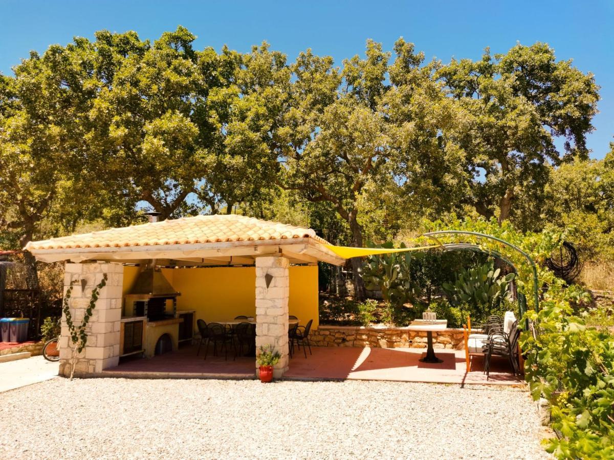 Villa Ermis - The Cretan Castello Kástellos エクステリア 写真