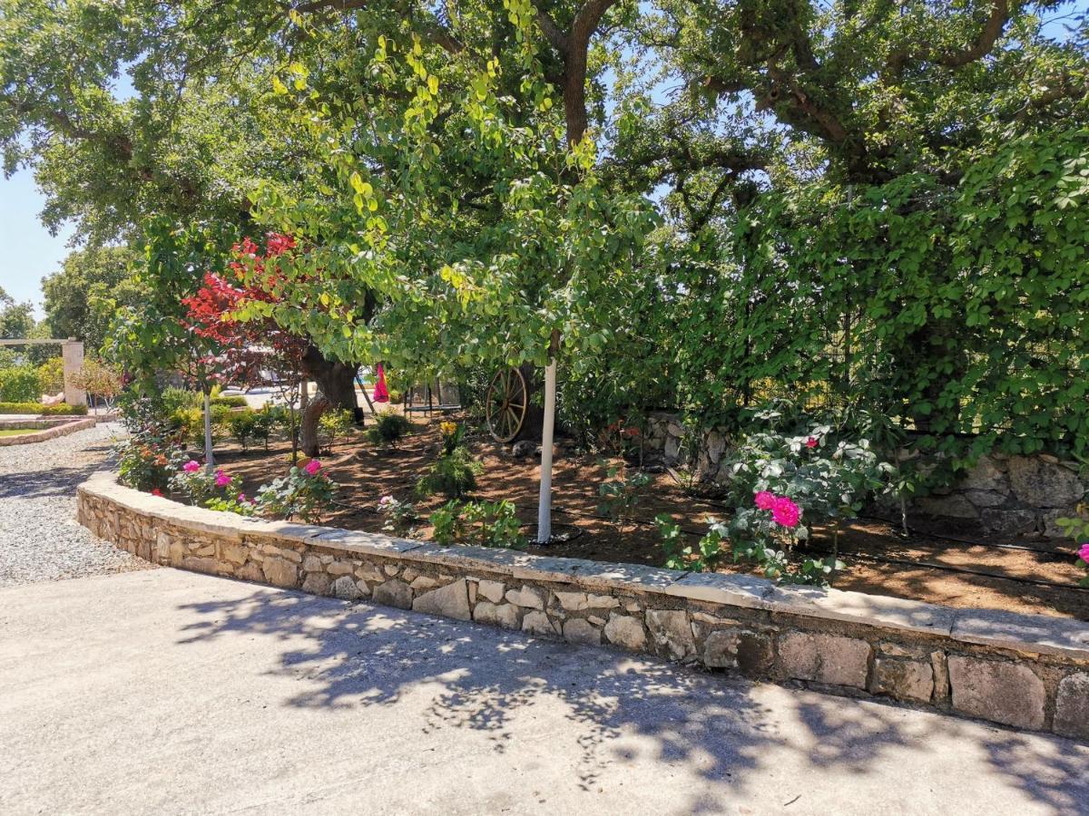Villa Ermis - The Cretan Castello Kástellos エクステリア 写真