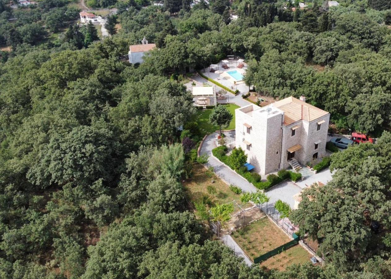 Villa Ermis - The Cretan Castello Kástellos エクステリア 写真